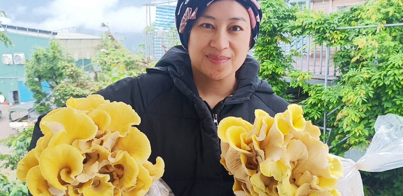 「綠能」種出大香菇？！